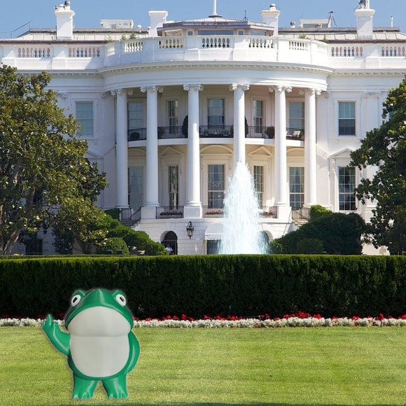 Cheeky Middle Finger Frog | Gag Gift | Fun Desk Toy | Decor | 3D Printed - Picture 16 of 17